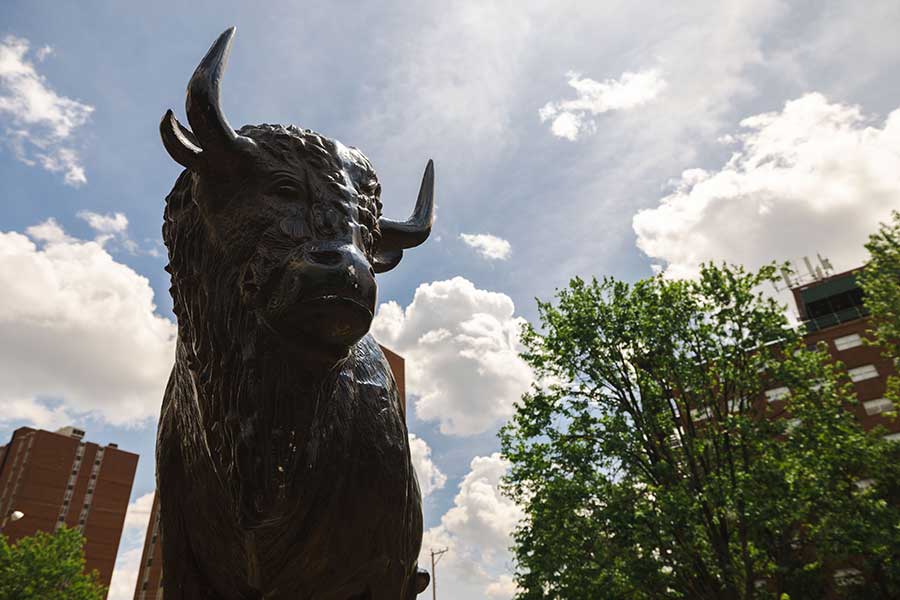 Marshall University's bronze bison statue stands among mature campus trees beneath a bright sky, overlooking the university landscape.