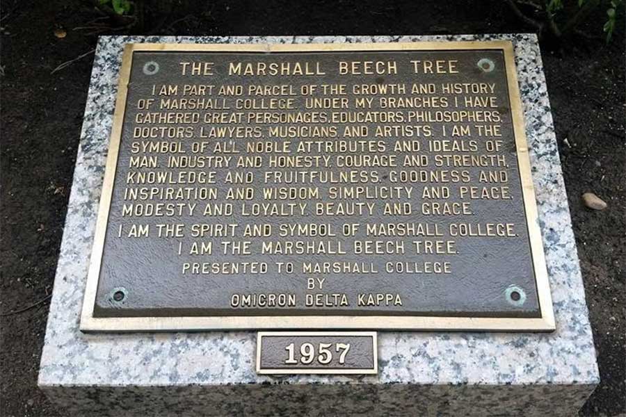 Bronze plaque dedicated in 1957 honoring the Marshall Beech Tree as a symbol of Marshall University's history, values, and traditions.