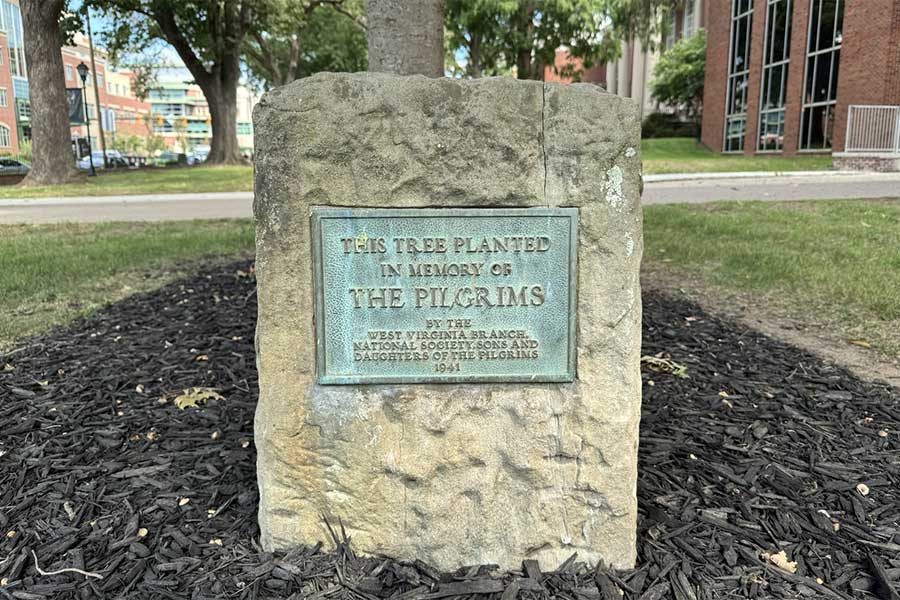 Stone marker commemorating the Pilgrim Tree planted in 1941.