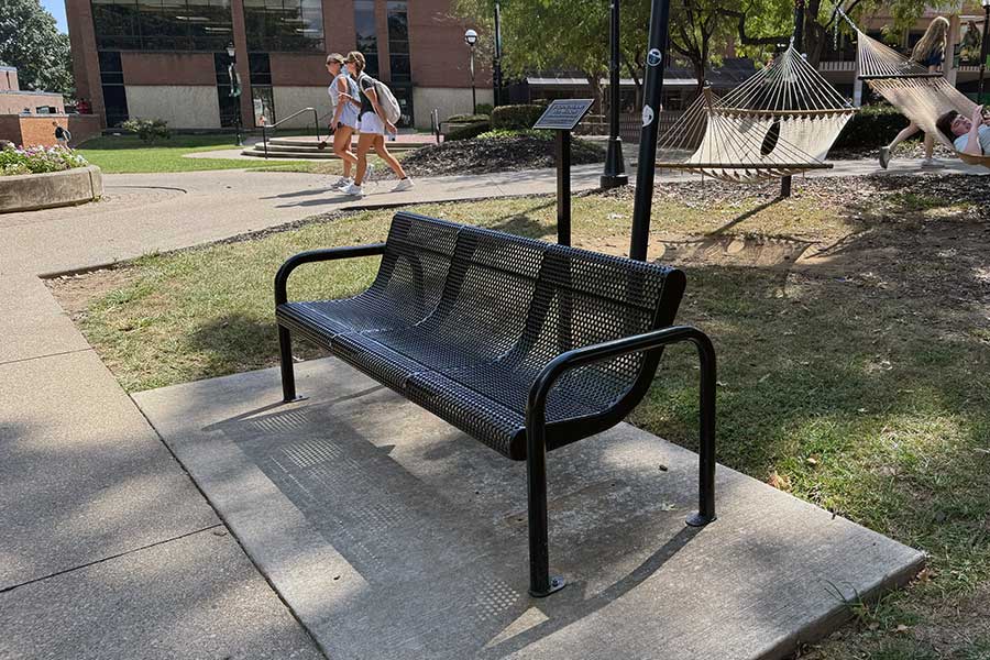 Memorial bench near the Memorial Student Center Plaza honoring Ted Wilson, situated beside a campus walkway and adjacent to a hammock area beneath mature shade trees.