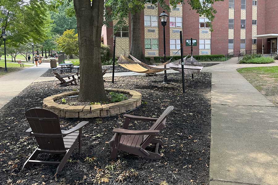 Hammock and Adirondack chair area east of Buskirk Hall featuring woven hammocks suspended beneath mature shade trees, with seating arranged around a landscaped tree planter.