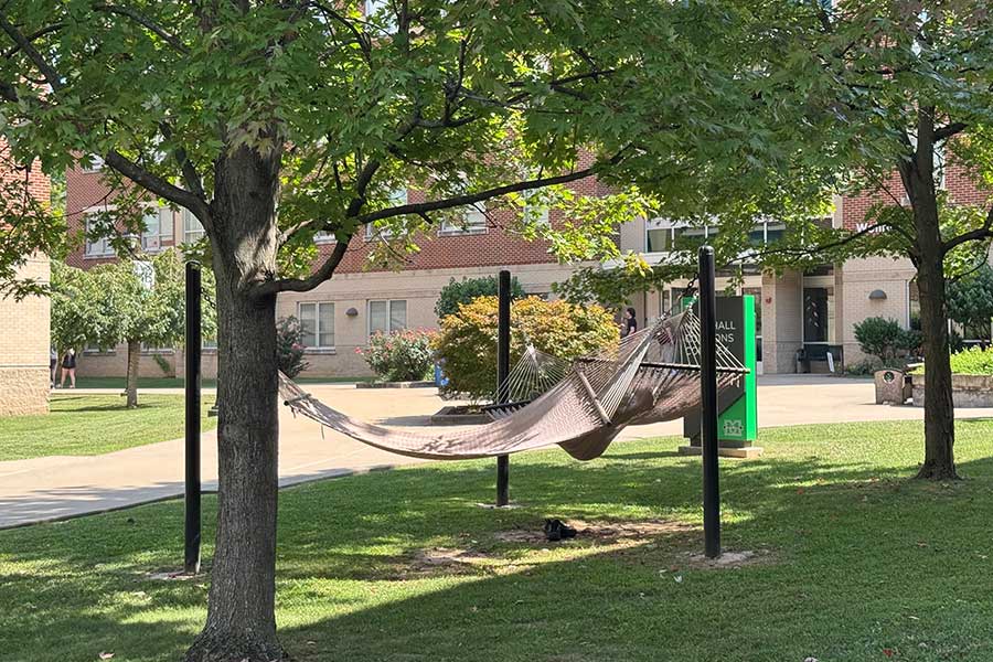Hammock area at the north entrance of Marshall Commons featuring woven hammocks suspended between posts beneath mature shade trees near residence hall walkways.