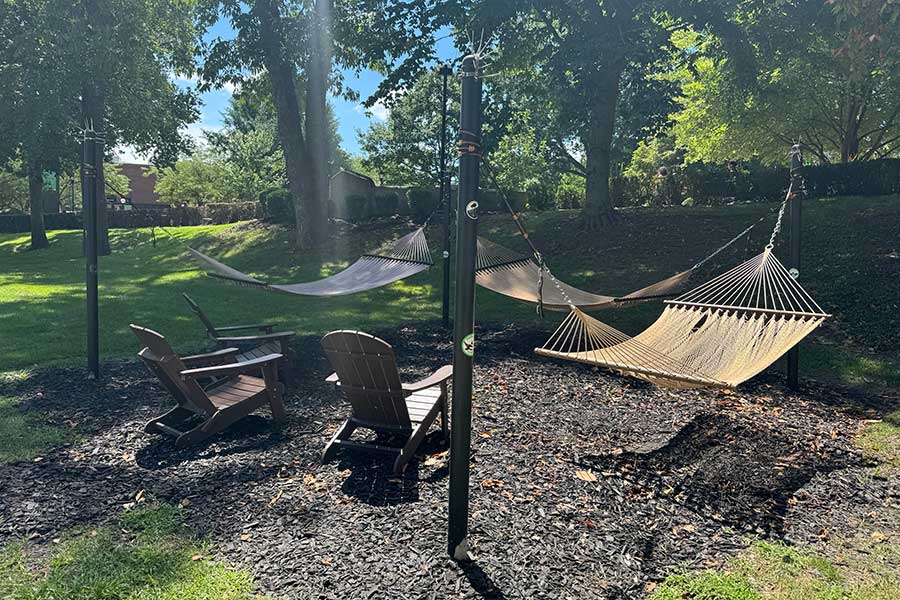 Hammocks and Adirondack chairs beneath mature shade trees on Marshall University's campus, creating an outdoor space for relaxation, study, and informal gatherings.
