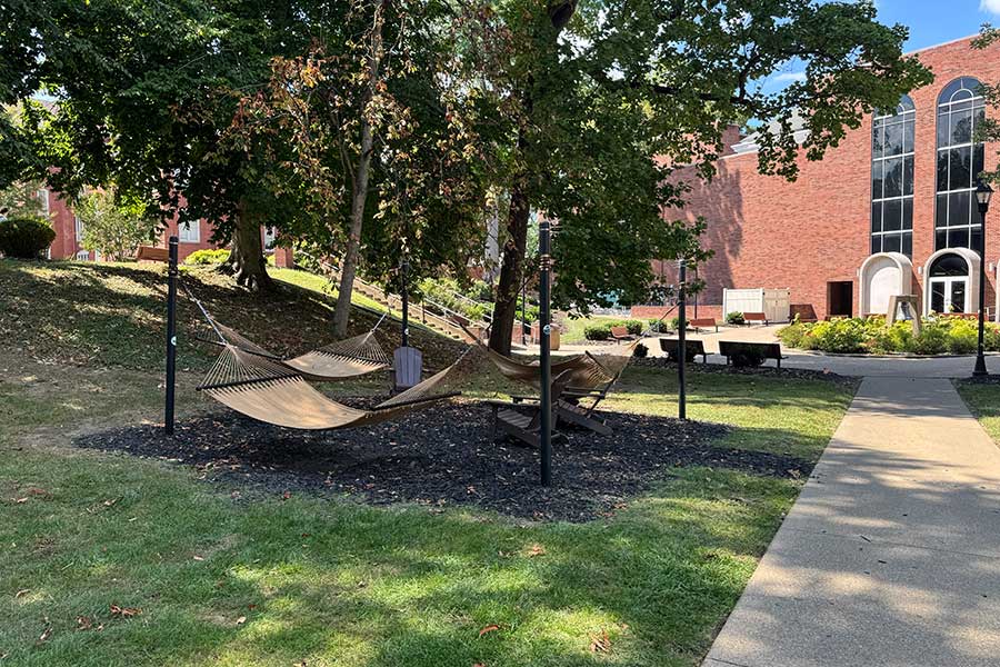 Hammock and Adirondack chair area south of Morrow Library, featuring several woven hammocks suspended beneath mature shade trees beside a campus walkway.