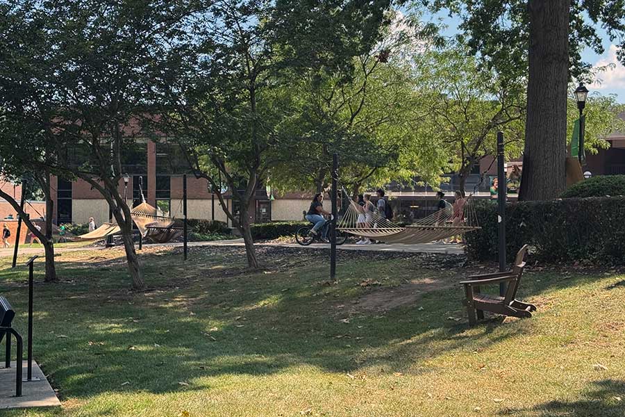 Hammocks and an Adirondack chair beneath the tree canopy near the Memorial Student Center, providing outdoor space for relaxation and study.