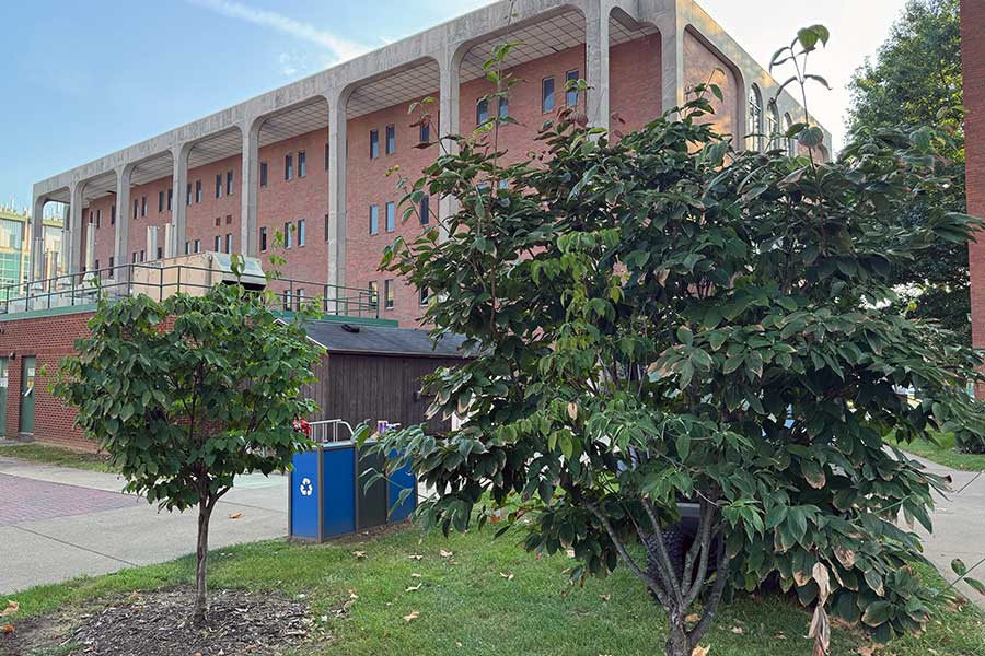 Memorial trees honoring Dr. Jeff Kovatch and Dr. Paige Muellerleile planted between their former academic buildings, with Harris Hall behind the trees.