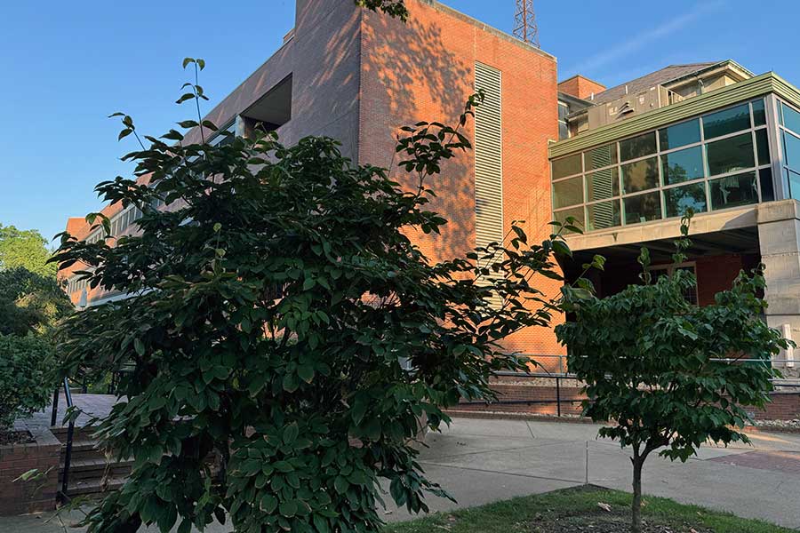Memorial trees honoring Dr. Jeff Kovatch and Dr. Paige Muellerleile planted between their former academic buildings, with the Science Building behind the trees.