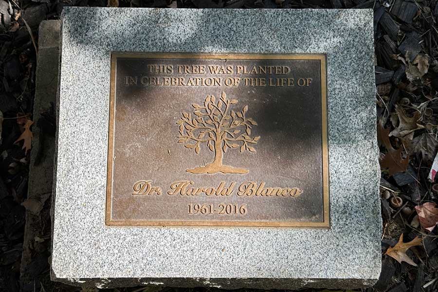 Memorial plaque at the base of the Blanco Memorial Tree inscribed, “This tree was planted in celebration of the life of Dr. Harold Blanco, 1961-2016.”