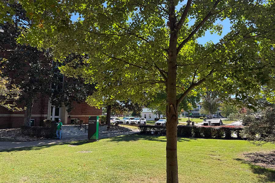 Red Maple planted in memory of Dr. Harold Blanco standing north of the Education Building, with the building's brick facade and entrance visible in the background.