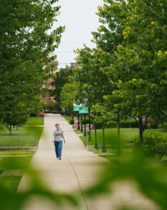 Student walks along a tree-lined pathway on Marshall University’s campus.