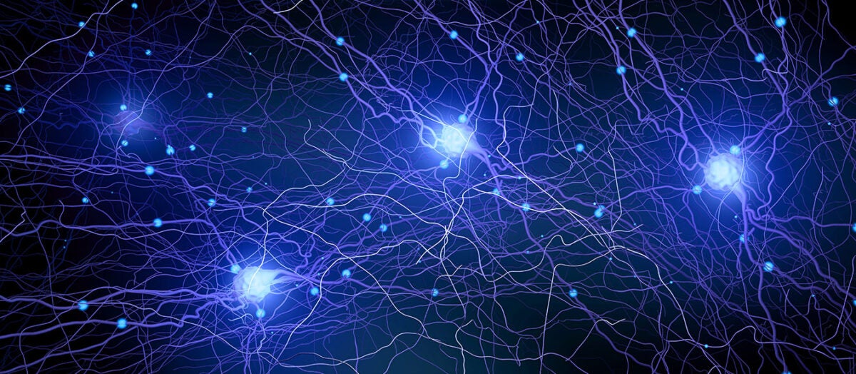 West Virginia Network for Functional Neuroscience and Transcriptomics (WV-NFNT)