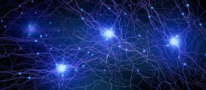 An illustration of neurons